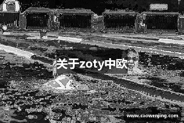 关于zoty中欧